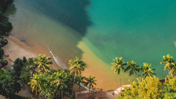 Ilha Grande-RJ